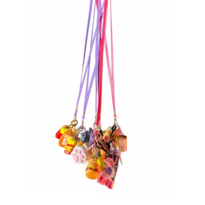 Lanyard